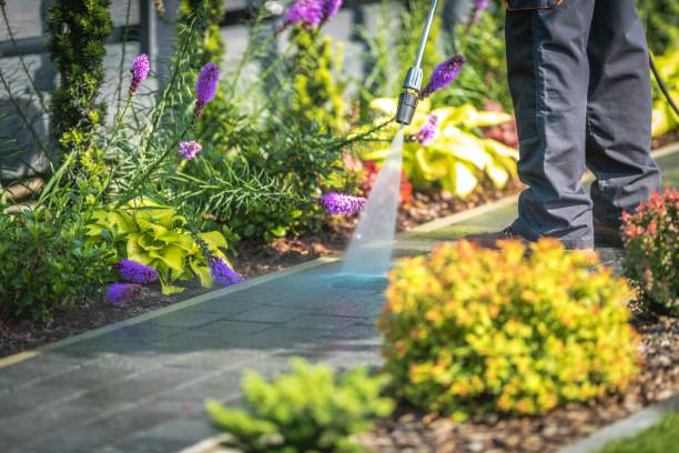 Professional Pressure Washing Services in Crow Agency, MT